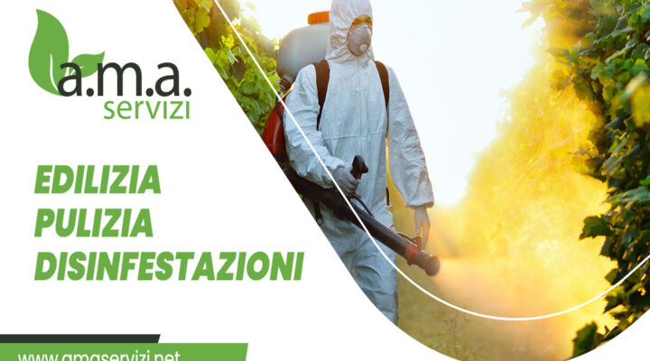 pulizia società palermo